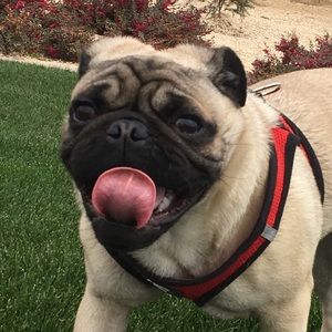 Meet your Posher, Jayleen